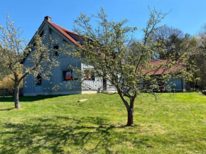 Waldhaus am Lilienstein